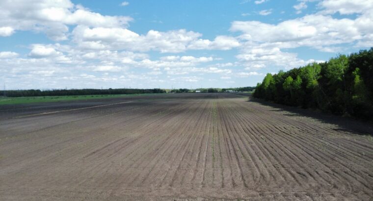 Ste-Eulalie (Ctre-du-Québec)Terres agricoles 188ac