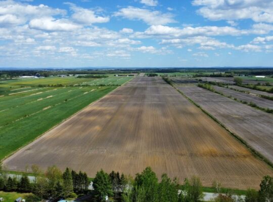 Ste-Eulalie (Ctre-du-Québec)Terres agricoles 188ac