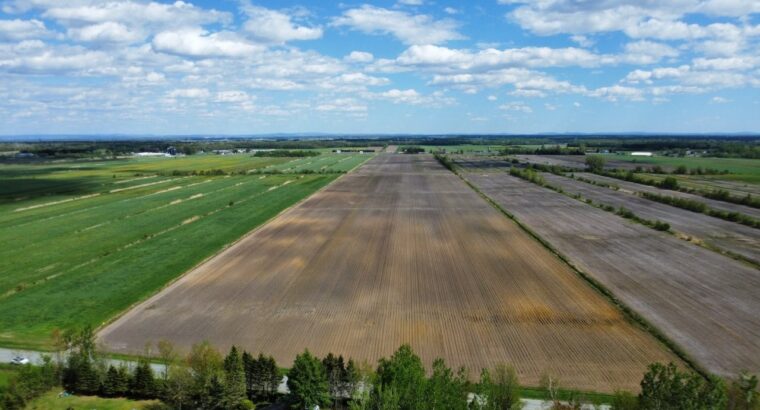 Ste-Eulalie (Ctre-du-Québec)Terres agricoles 188ac