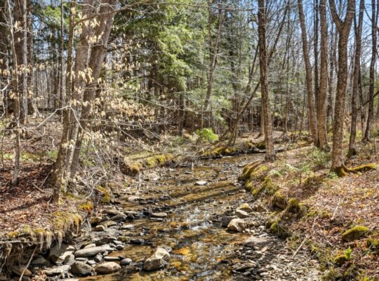 Stoke (Estrie) : Domaine forestier de 54,19 acres