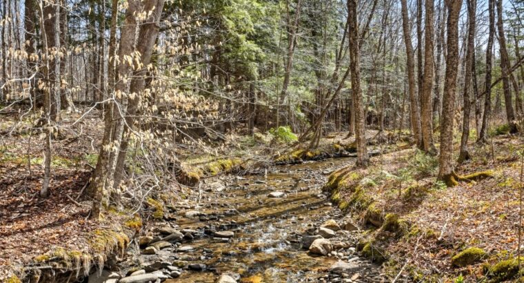 Stoke (Estrie) : Domaine forestier de 54,19 acres