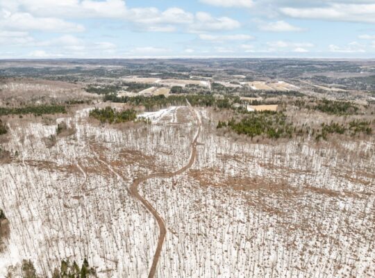 Armagh (Chaud-App.):Terre à bois 148 acr Érablière