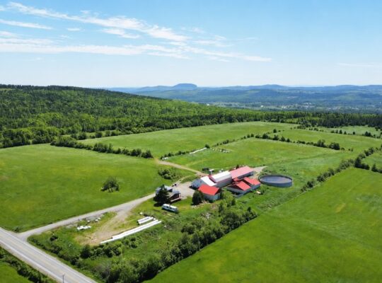 Thetford Mines: Ferme 159 acres, 59 acres culture