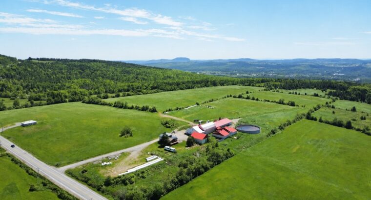 Thetford Mines: Ferme 159 acres, 59 acres culture