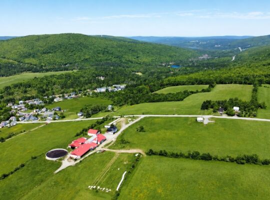 Thetford Mines: Ferme 159 acres, 59 acres culture