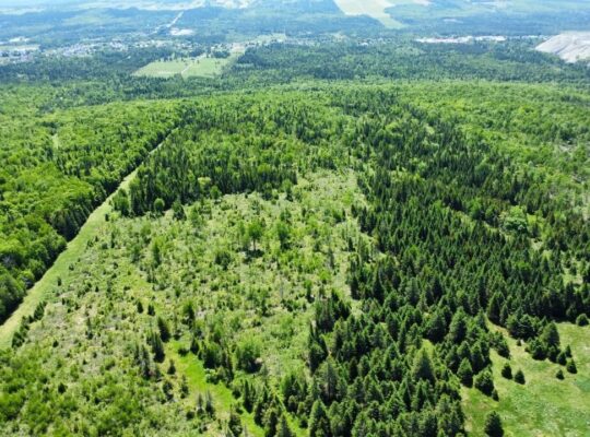Thetford Mines: Ferme 159 acres, 59 acres culture