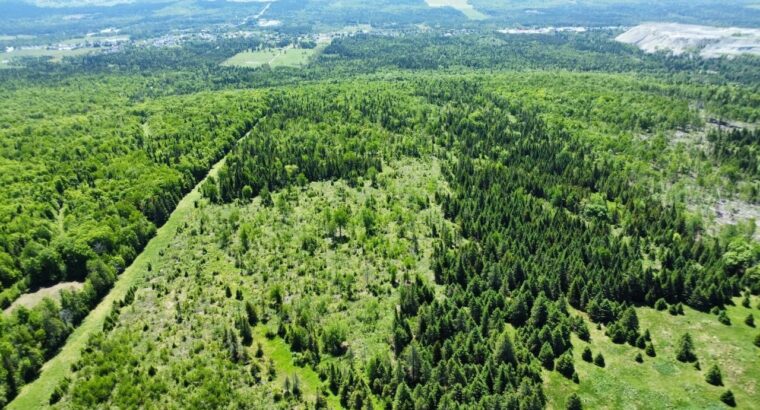 Thetford Mines: Ferme 159 acres, 59 acres culture