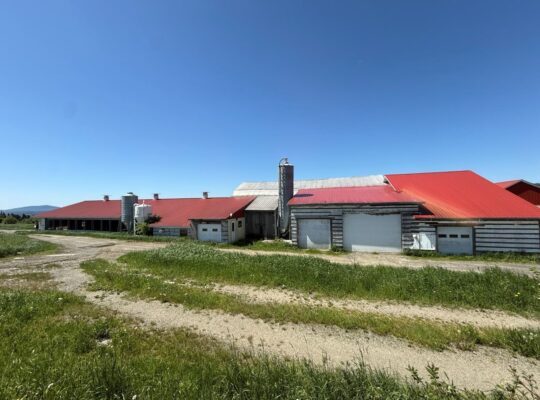 Thetford Mines: Ferme 159 acres, 59 acres culture