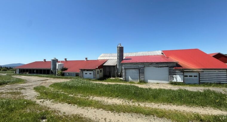 Thetford Mines: Ferme 159 acres, 59 acres culture