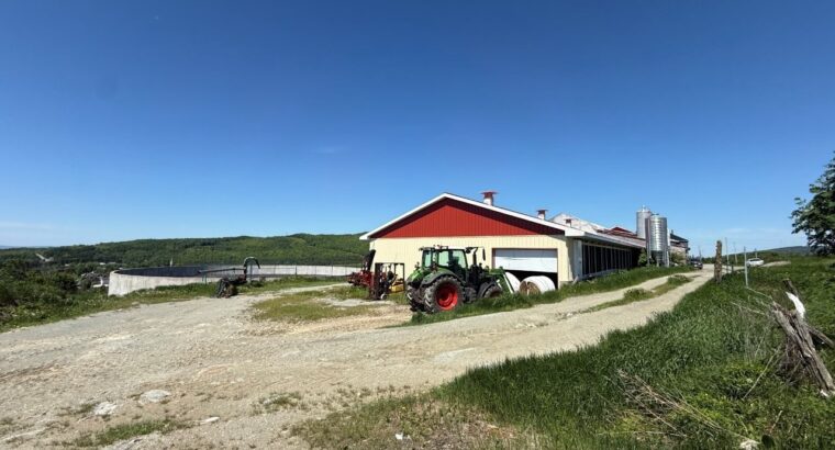 Thetford Mines: Ferme 159 acres, 59 acres culture
