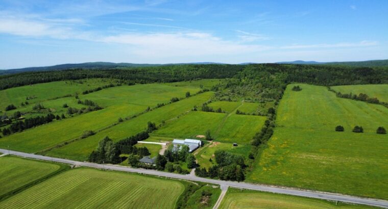 Notre-Dame-de-Ham (Ctre-Qc) : Ferme 86 acres