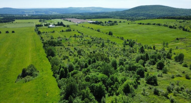 Notre-Dame-de-Ham (Ctre-Qc) : Ferme 86 acres