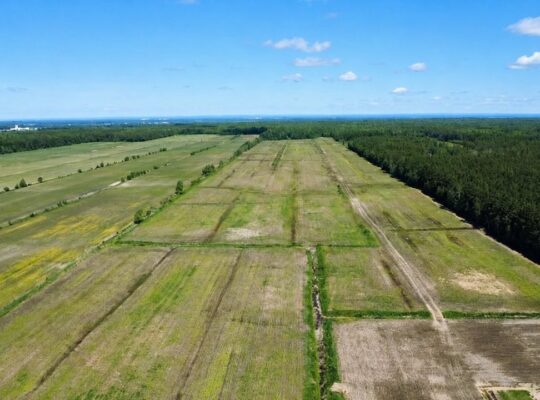 Bécancour (Centre-du-Québec) Terre agricole 73 acr