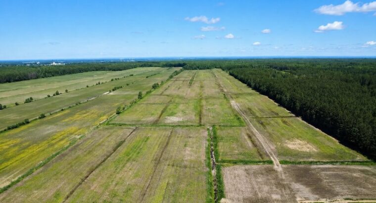 Bécancour (Centre-du-Québec) Terre agricole 73 acr