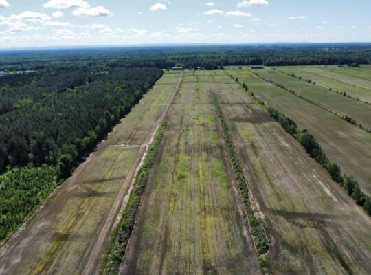 Bécancour (Centre-du-Québec) Terre agricole 73 acr