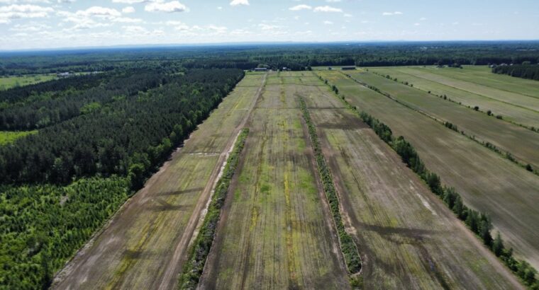 Bécancour (Centre-du-Québec) Terre agricole 73 acr