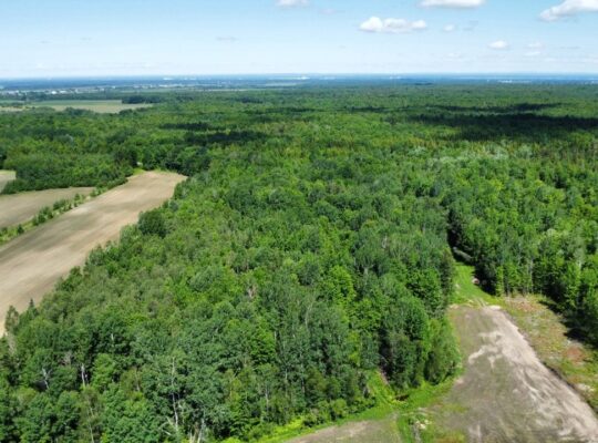 Bécancour (Centre-du-Québec) Terre agricole 73 acr