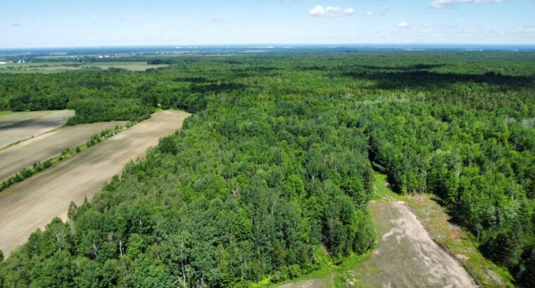 Bécancour (Centre-du-Québec) Terre agricole 73 acr