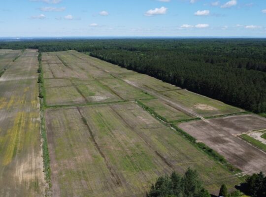 Bécancour (Centre-du-Québec) Terre agricole 73 acr