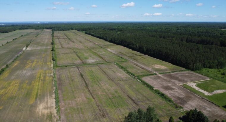 Bécancour (Centre-du-Québec) Terre agricole 73 acr