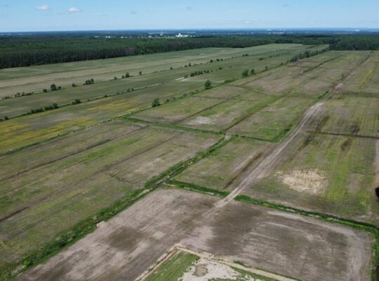 Bécancour (Centre-du-Québec) Terre agricole 73 acr