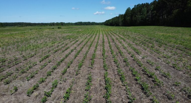 Bécancour (Centre-du-Québec) Terre agricole 73 acr