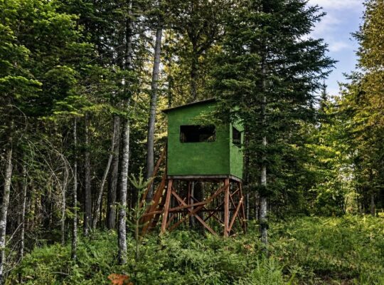 Lemieux (Ctre-Québec) : Terre 178 acres, chasse…