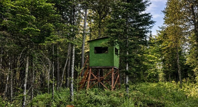 Lemieux (Ctre-Québec) : Terre 178 acres, chasse…