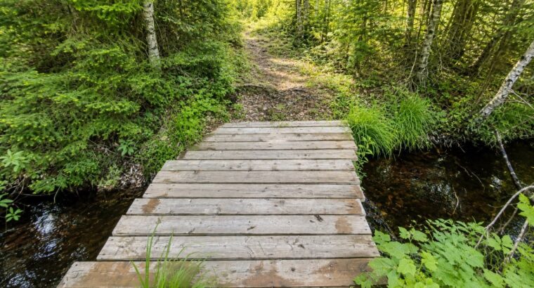 Lemieux (Ctre-Québec) : Terre 178 acres, chasse…