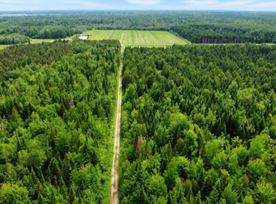 Lemieux (Ctre-Québec) : Terre 178 acres, chasse…