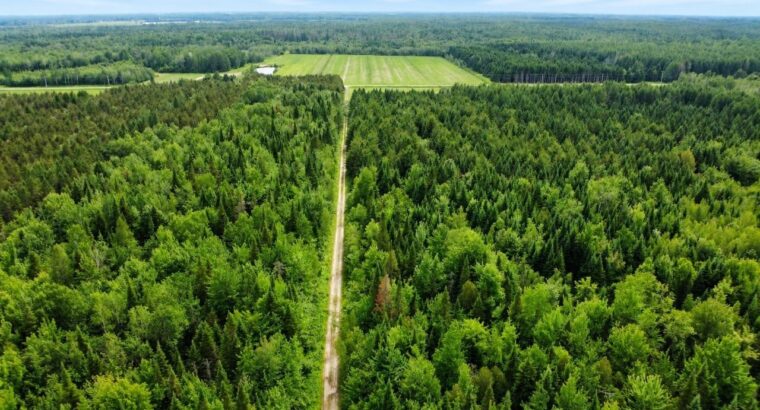 Lemieux (Ctre-Québec) : Terre 178 acres, chasse…
