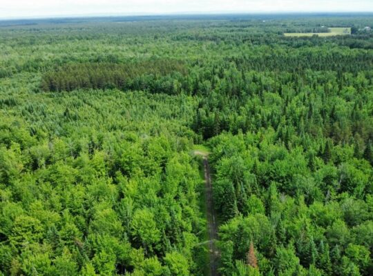 Lemieux (Ctre-Québec) : Terre 178 acres, chasse…