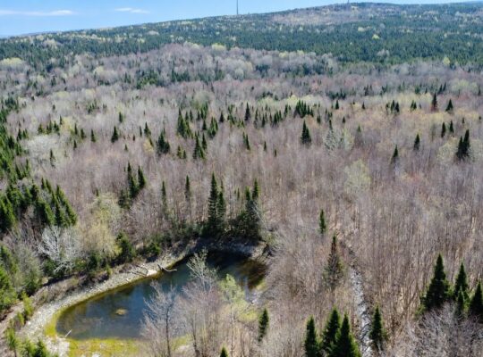Kinnear’s Mills (Chaud-App) : Terre à bois 110ac