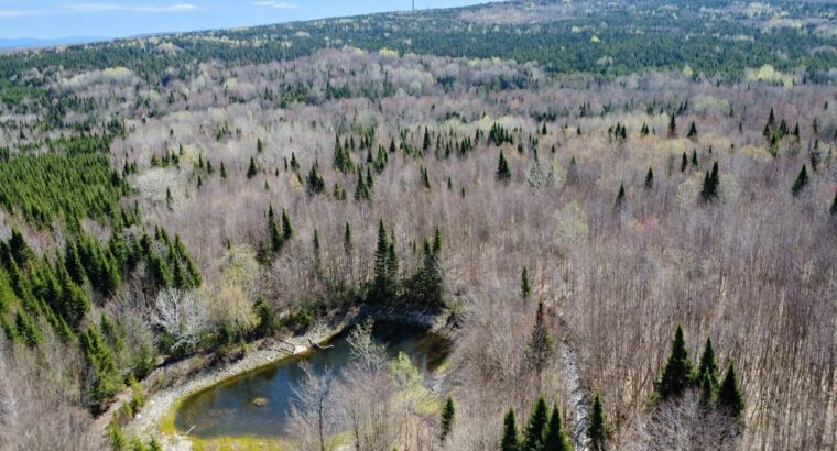 Kinnear’s Mills (Chaud-App) : Terre à bois 110ac