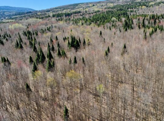 Kinnear’s Mills (Chaud-App) : Terre à bois 110ac