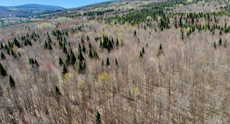 Kinnear’s Mills (Chaud-App) : Terre à bois 110ac