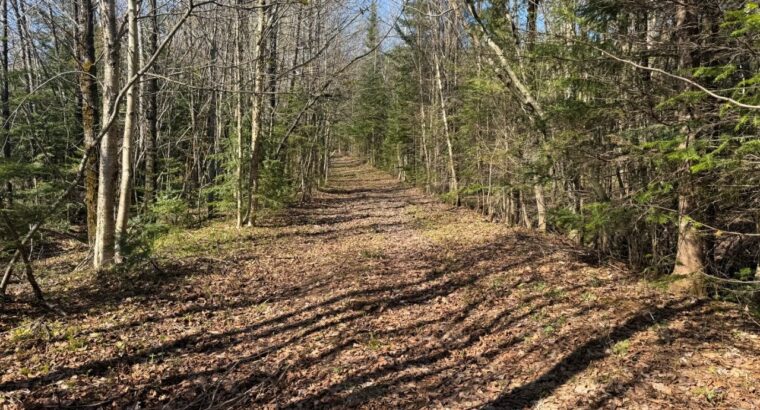 Kinnear’s Mills (Chaud-App) : Terre à bois 110ac