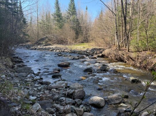 Kinnear’s Mills (Chaud-App) : Terre à bois 110ac