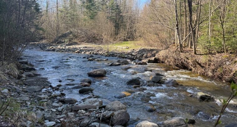 Kinnear’s Mills (Chaud-App) : Terre à bois 110ac