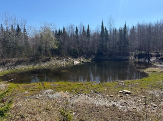 Kinnear’s Mills (Chaud-App) : Terre à bois 110ac