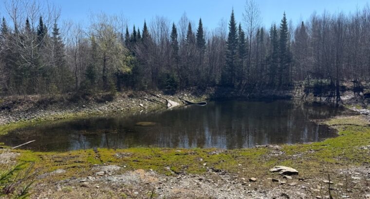 Kinnear’s Mills (Chaud-App) : Terre à bois 110ac
