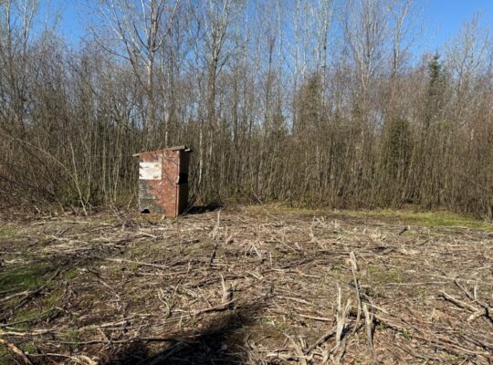 Kinnear’s Mills (Chaud-App) : Terre à bois 110ac