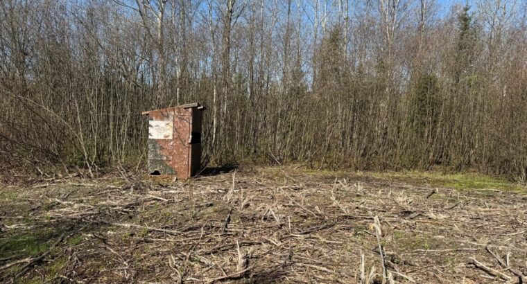 Kinnear’s Mills (Chaud-App) : Terre à bois 110ac