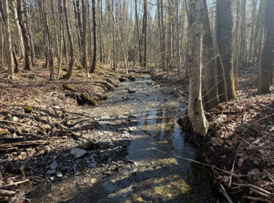 Kinnear’s Mills (Chaud-App) : Terre à bois 110ac