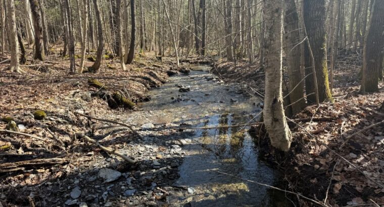 Kinnear’s Mills (Chaud-App) : Terre à bois 110ac