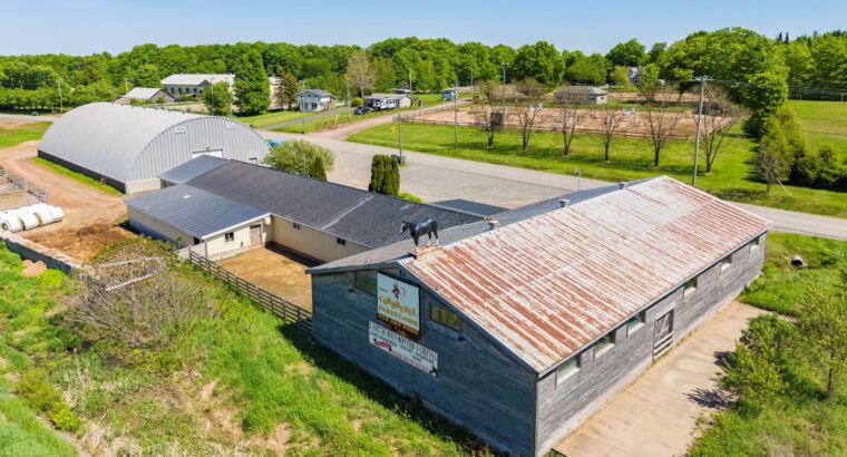 Lévis (Chaud-App) : Centre équestre, 3 maisons