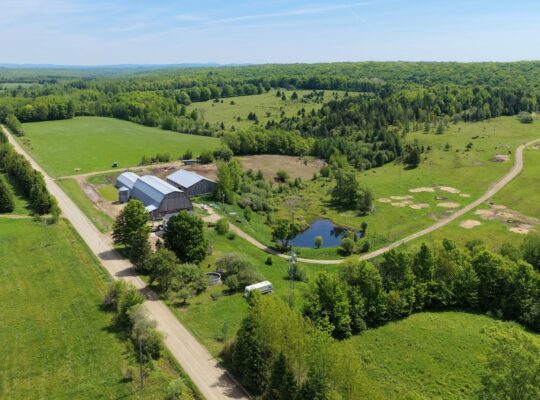 Bury (Estrie) : Ferme ovine et bovine de 123,25 ac