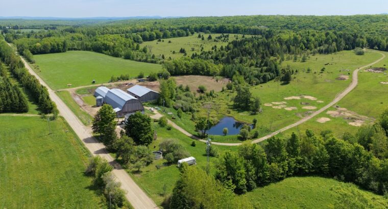Bury (Estrie) : Ferme ovine et bovine de 123,25 ac