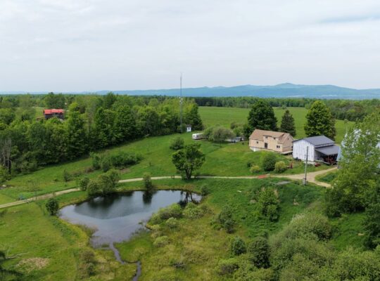 Bury (Estrie) : Ferme ovine et bovine de 123,25 ac