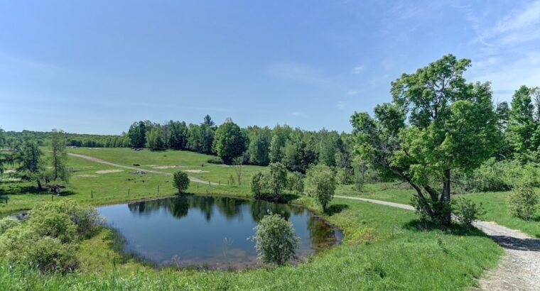 Bury (Estrie) : Ferme ovine et bovine de 123,25 ac